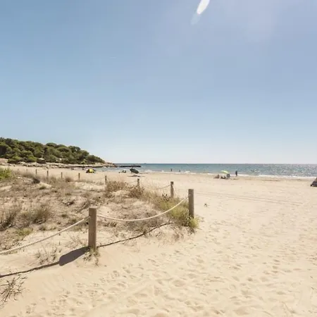 Estudio En La Playa Molnas