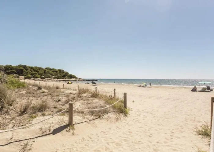 Estudio En La Playa Molnas